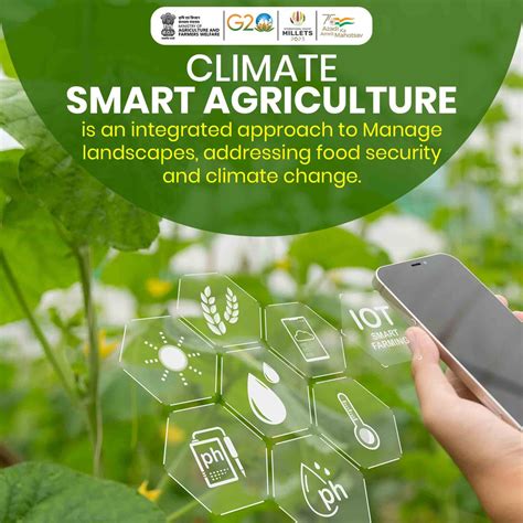 Digitalizing Climate-Smart Agriculture: Framework for G20 Countries ...