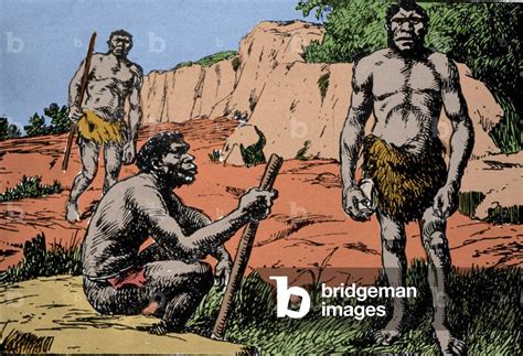 Prehistory: representation of Homo rhodesiensis or man of Broken hill ...