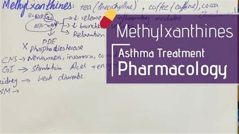 Methylxanthines | Asthma Treatment. PHARMACOLOGY - YouTube