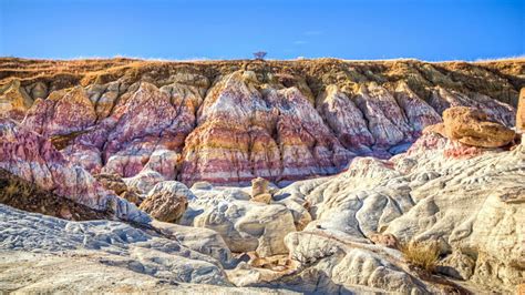 Exploring southern Colorado: Add some color to your hikes at the Paint ...