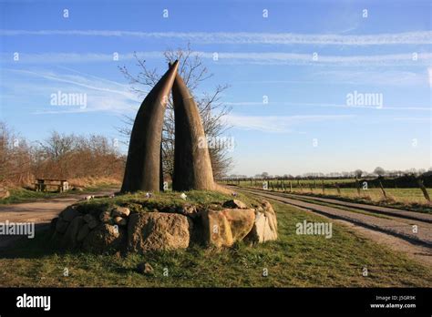 ox horns Stock Photo, Royalty Free Image: 141125759 - Alamy