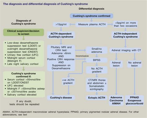 Cushing's syndrome - Medicine