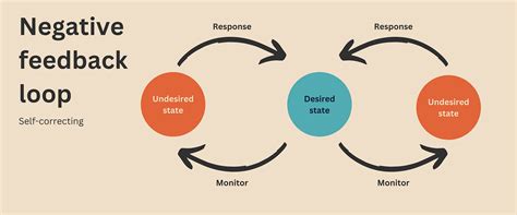 Positive Feedback Loop Examples