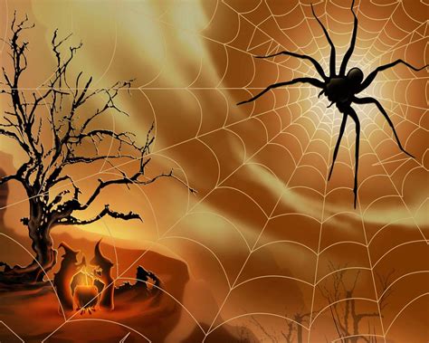 Halloween Spider Wallpapers - Top Free Halloween Spider Backgrounds ...