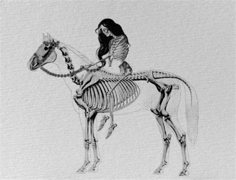 Pin by Mercedes Yrayzoz on Skulls & Skeletons | Horse tattoo, Cameo tattoo, Unicorn art