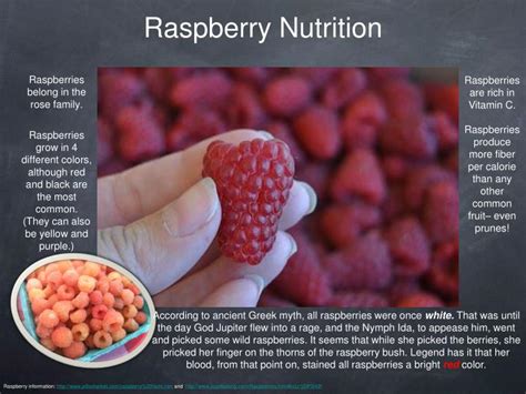 PPT - Raspberries! PowerPoint Presentation - ID:2570856