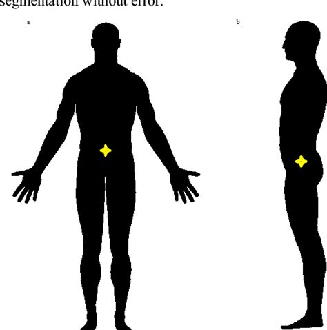 Real time estimation and tracking of human body Center of Mass using 2D video imaging | Semantic ...