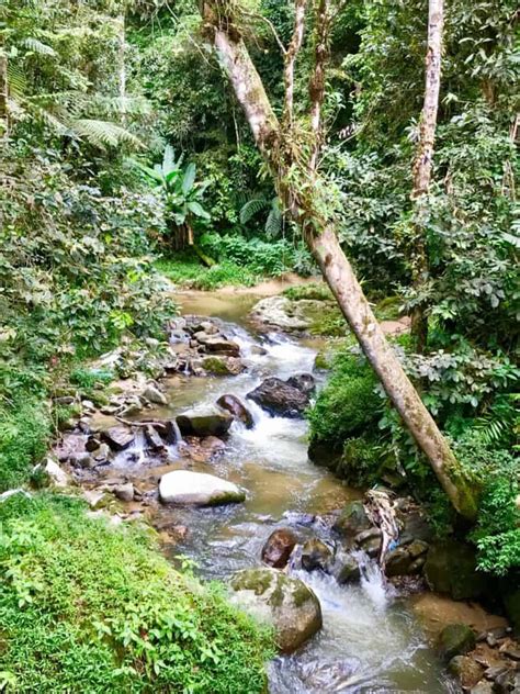 The Cameron Highlands, Malaysia - Is It Worth A Trip? | A Zest For Travel