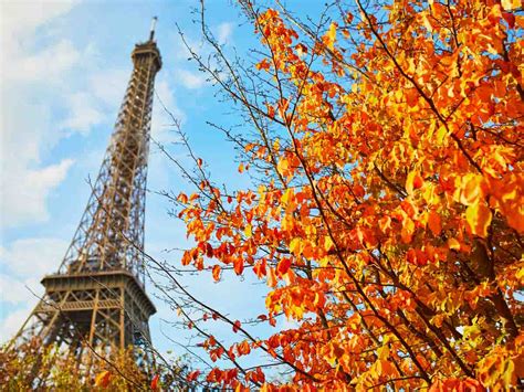 18 Fun Non-Touristy Things To Do In Paris For an Amazing Trip - Dreams ...