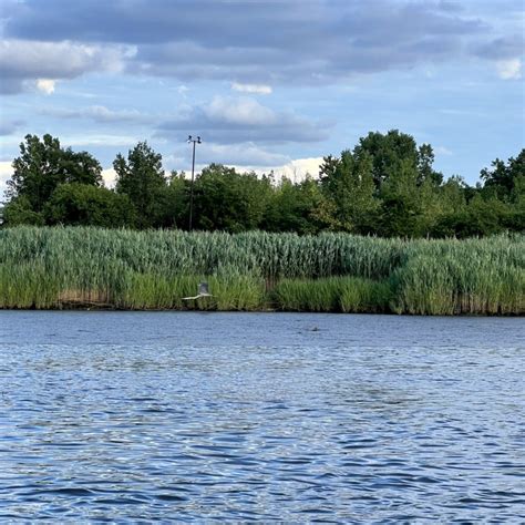 All About the Hackensack Riverkeeper Eco-Cruises - Montclair Girl