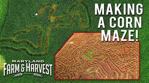 How to Make a Corn Maze! | Maryland Farm & Harvest - YouTube