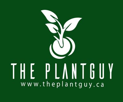 The Plantguy aquarium plants Canada – The PlantGuy