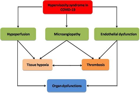 Frontiers | Changes in the Blood Viscosity in Patients With SARS-CoV-2 ...