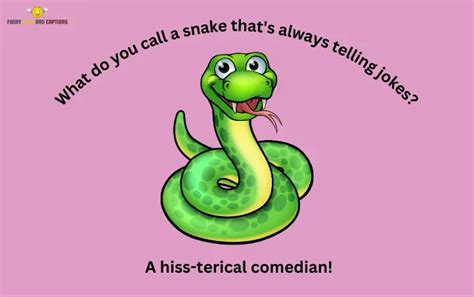 100+ Snake Puns That Are Outrageously Hisssterical