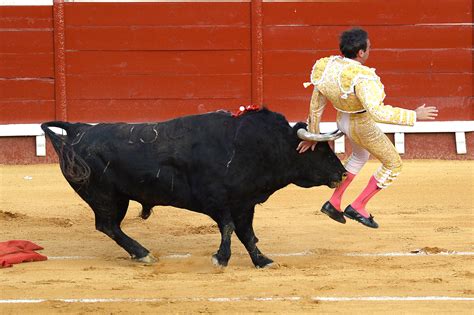 Matador gored to death during bullfight