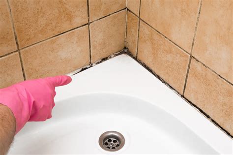 How To Clean Mold From Bathroom Tiles - Artcomcrea