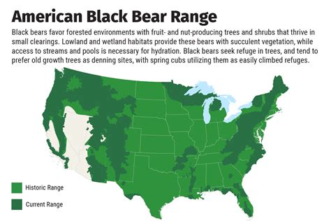 Black Bear Habitat Map