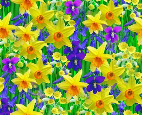 Spring Flowers Backgrounds