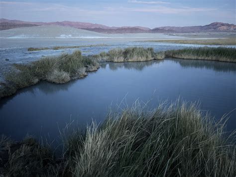 Tecopa Natural Hot Springs — The Weekly Camper