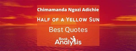 Top 17 Quotes From Half of a Yellow Sun | Book Analysis