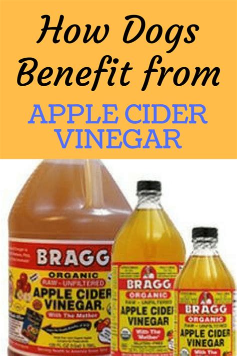 How Dogs Benefit From Apple Cider Vinegar | Apple cider vinegar dogs, Apple cider vinegar fleas ...