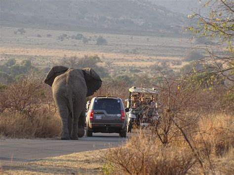 Pilanesberg National Park - North West Province, South Africa - Around Guides