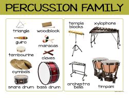 Percussion Family - Beth's Notes