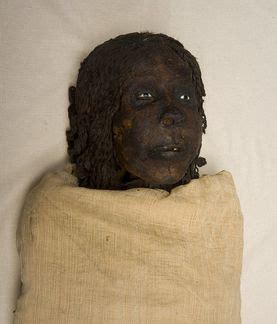 The Royal Mummies and portraits | Ancient egypt history, Ancient ...