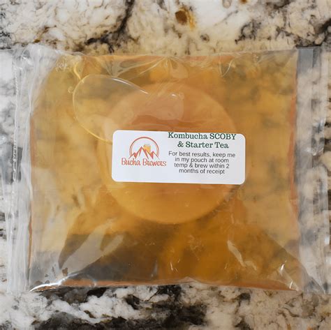 Kombucha SCOBY with 8 Ounces Starter Tea - Bucha Brewers