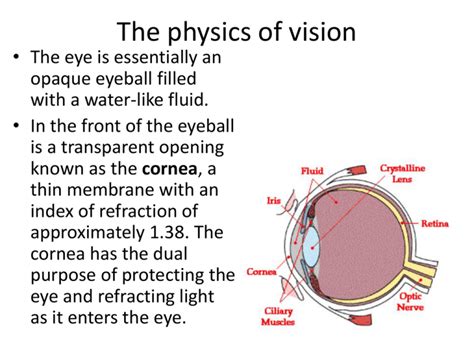 crystalline lens