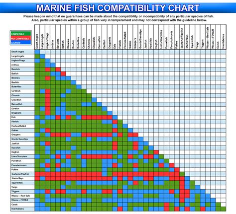 Reef Chasers | Buy Marine Fish Online | Marine Fish Compatibility Char