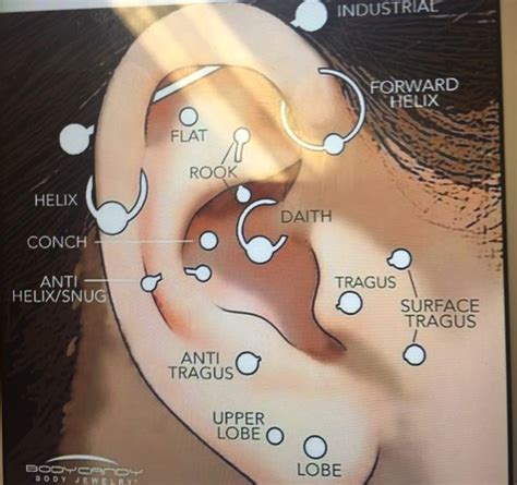 Pin on Peircings | Types of ear piercings, Different ear piercings, Ear ...