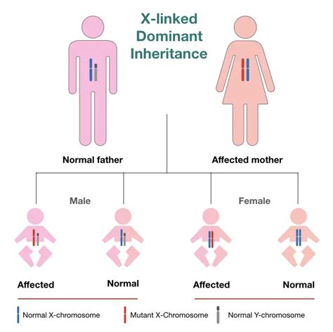 Different types of inheritance pattern