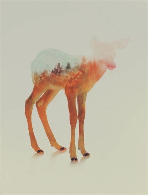 Double Exposure Animal Portraits By Andreas Lie | iGNANT.com