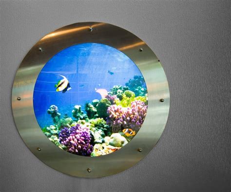 Top 10 Best Wall Mounted Aquariums (Updated 2021)