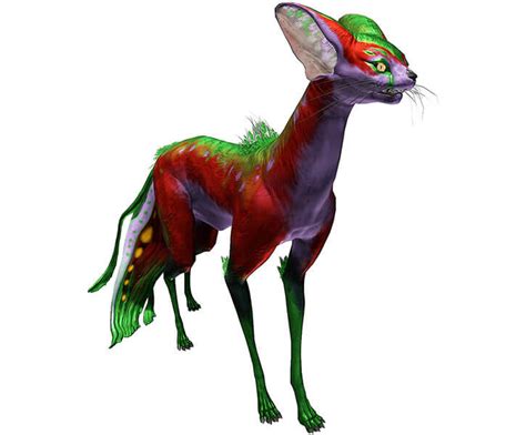 Kavat - Warframe - Species profile and known facts - Writeups.org