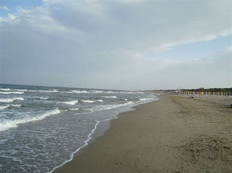 Hit the beach. From Unusual things to see and do in Ravenna Ravenna Italy, Italy Beaches, Beach ...