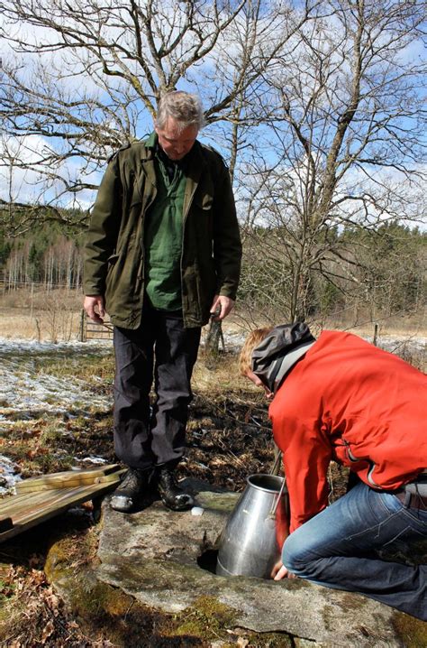 Bog butter: a gastronomic perspective – Nordic Food Lab