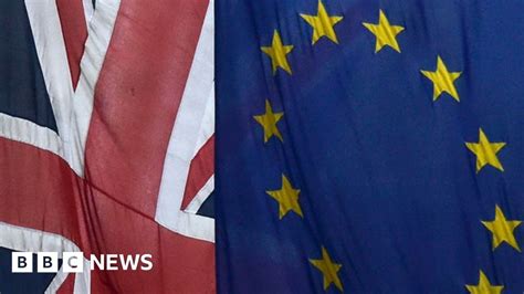 EU referendum: Europe reacts to PM's letter - BBC News