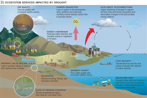 Ecological Drought Enters Unfamiliar Territory | Drought.gov