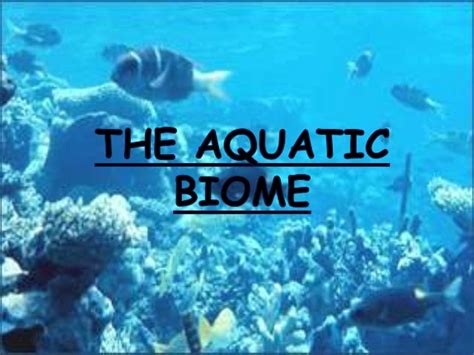 Aquatic biomes