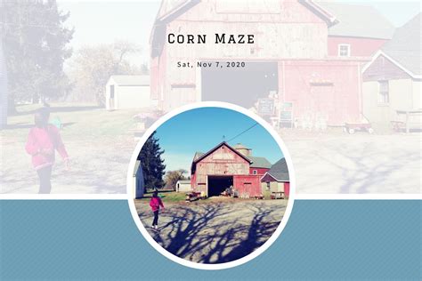 Corn Maze