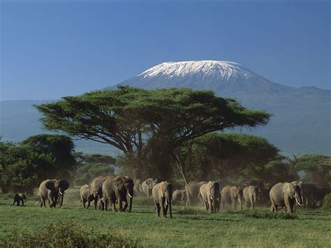 Travel specialist in Tanzania on climbing kilimanjaro and Safaris ...