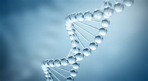 Double helix dna - ladersa