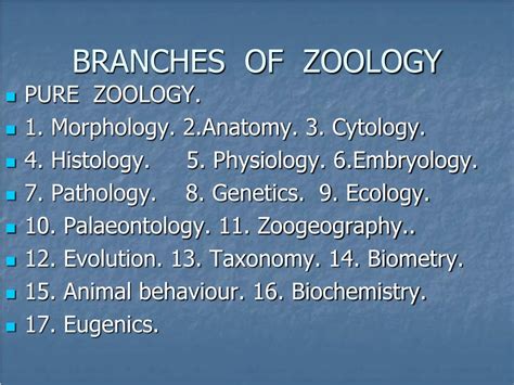 PPT - Zoology PowerPoint Presentation, free download - ID:6855461