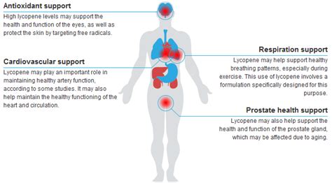 Health Benefits Of Lycopene For Women Selling Discounted | www.pinnaxis.com