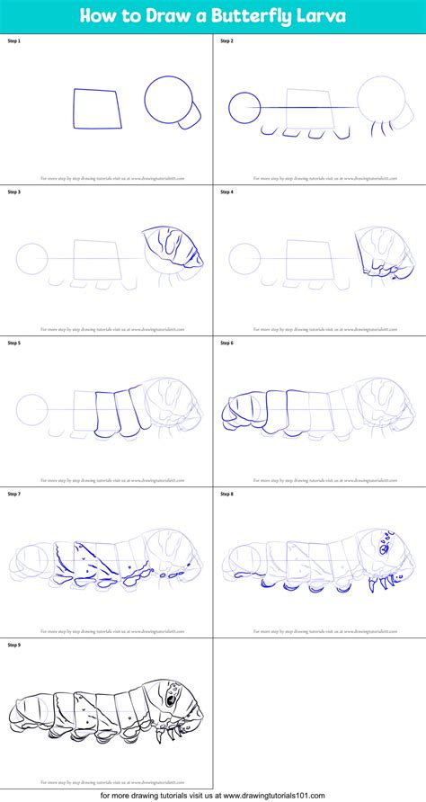 How to Draw a Butterfly Larva printable step by step drawing sheet : DrawingTutorials101.com