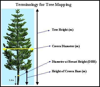 Valuation of Stumpage - Forestrypedia