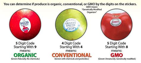 🐈 Difference between organic and gmo. GMO vs. Organic. 2022-11-01