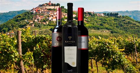 Teran | Local Wine Variety From Istria, Croatia | TasteAtlas